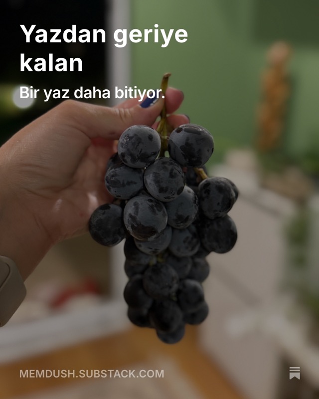 Yazdan geriye kalan.