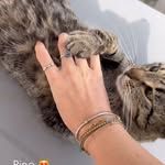 Instagram gönderisi